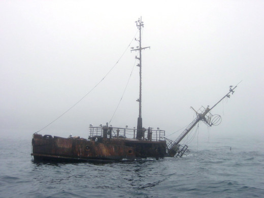 �151047 �������(a): ����������:1600x1200